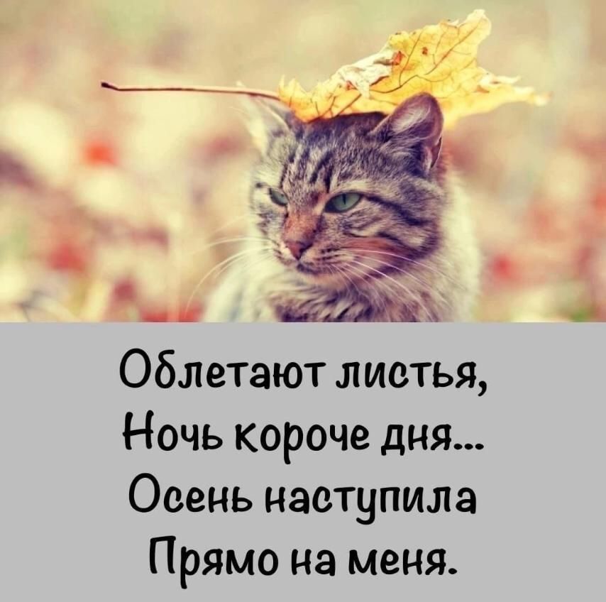 Облетэют листья Ночь короче дня Одень наступила Прямо на меня