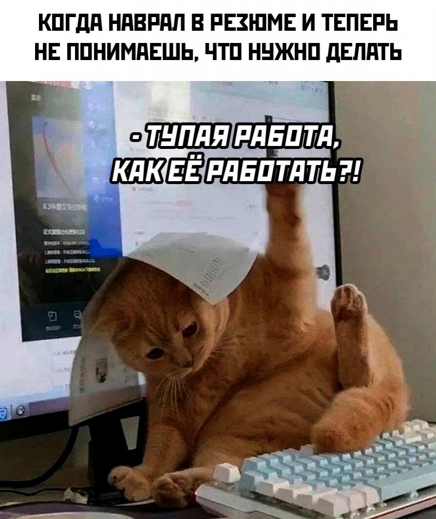 КПГдП НПВРПЛ В РЕЗЮМЕ И ТЕПЕРЬ НЕ ППНИМПЕШЬ ЧТП ННЖНП дЕЛПТЬ