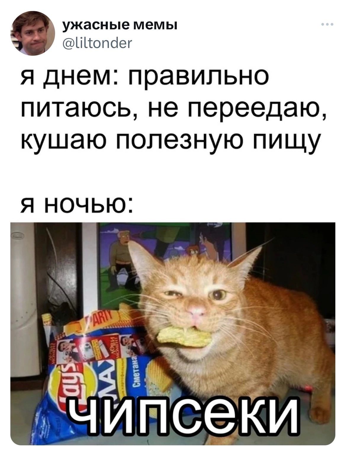 ужасные мемы іпопбег я днем правильно питаюсь не переедаю кушаю полезную пищу Я НОЧЬЮ