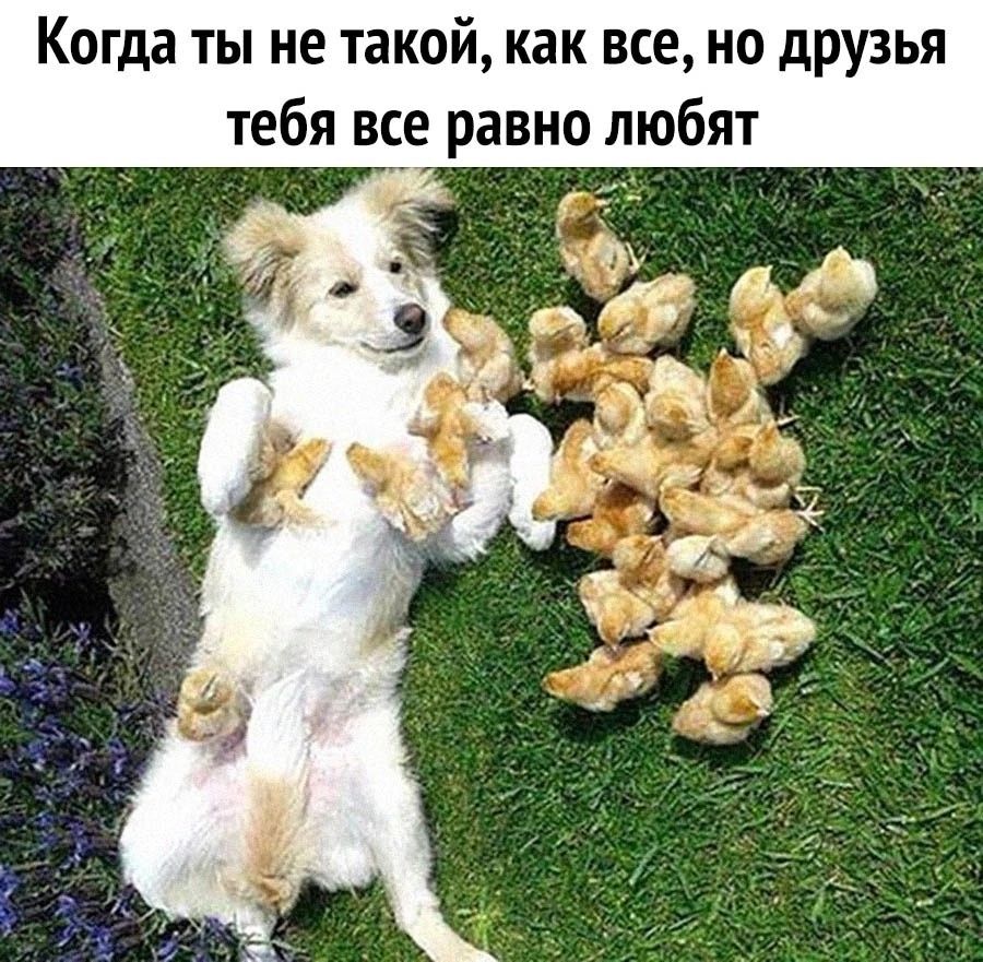 Когда ты не такой как все но друзья тебя все равно любят