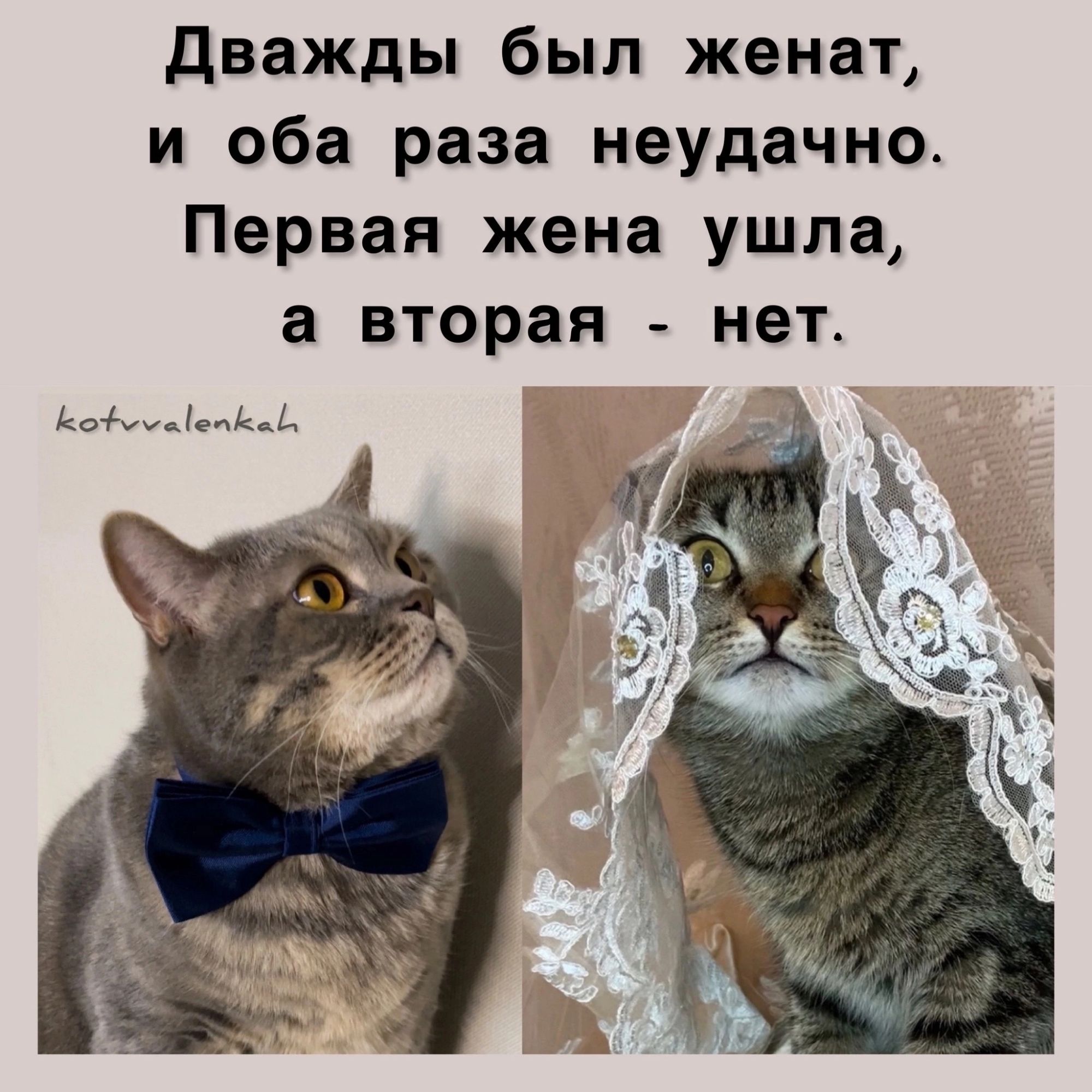 дважды был женат и оба раза неудачно Первая жена ушла а вторая _ нет ьыьпць