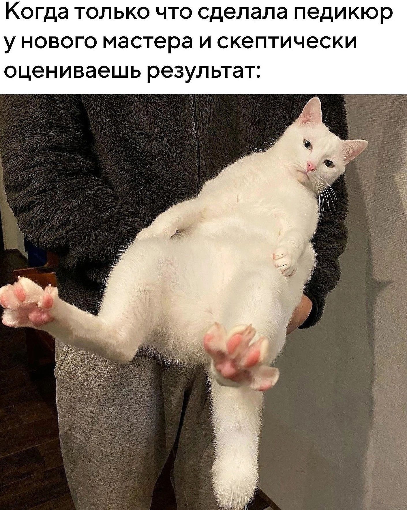 Когда только что сделала педикюр у нового мастера и скептически оцениваешь результат