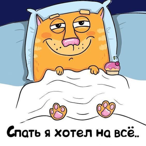 тэг Спать я хотел на всё