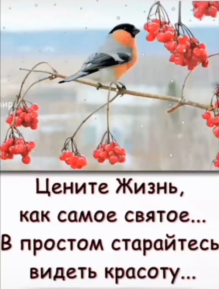 Цените Жизнь как самое святое В простом старайтесь видеть красоту