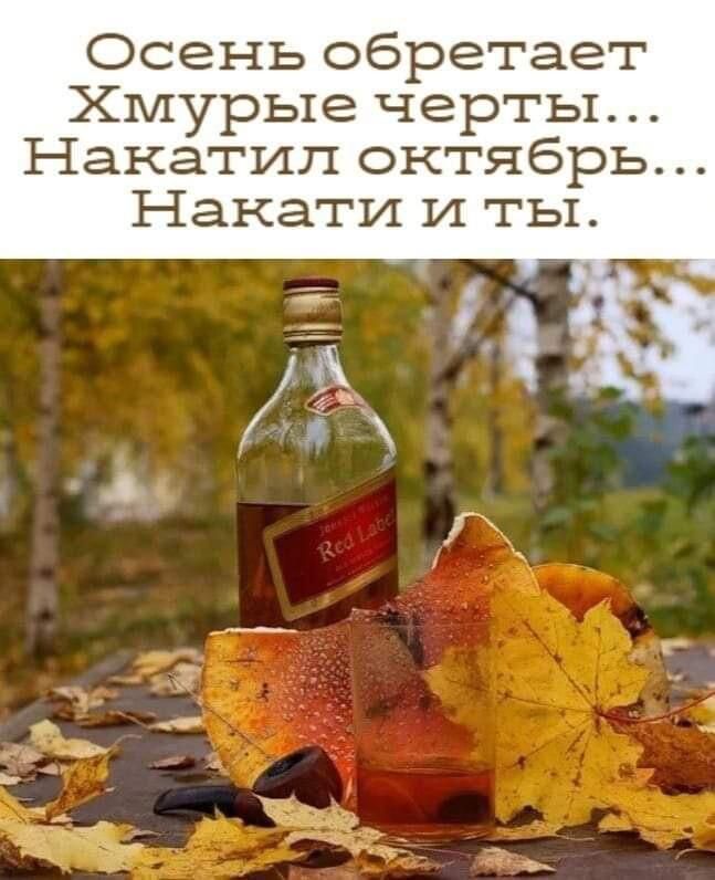 Осень обретает Хмурые черты Накатип октябрь Напати И ты
