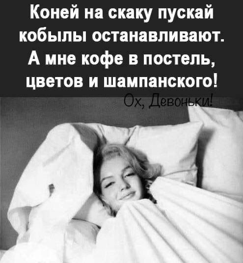 Коней на скаку пускай кобылы останавливают А мне кофе в постель цветов и шампанского