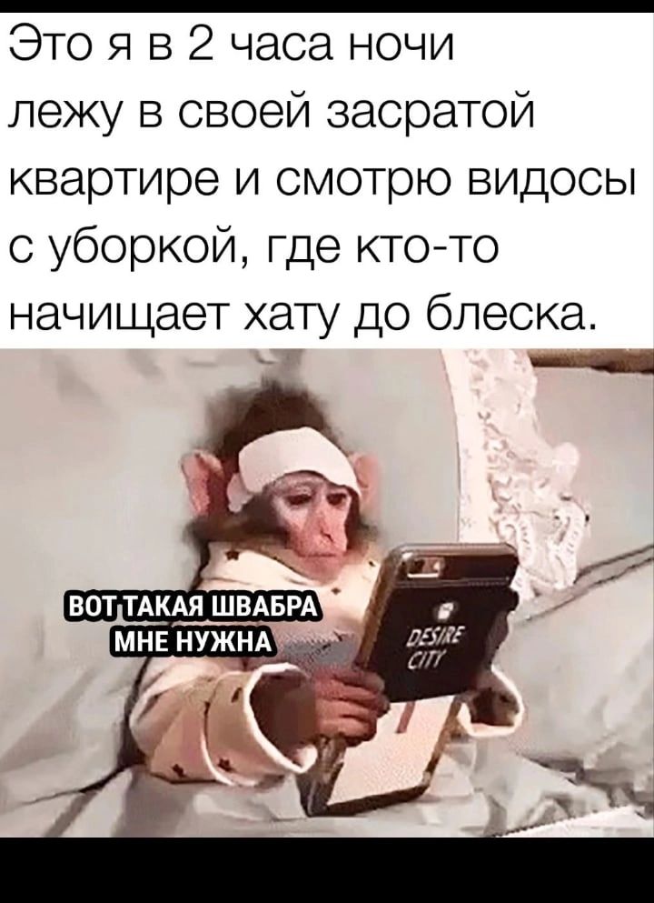 Это Я в 2 часа ночи лежу в своей засратой квартире и смотрю видосы с уборкой где ктото начищает хату до блеска _ __