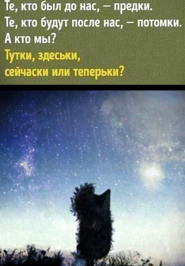 Те кто был до нас предки Те кто будут после нас потомки А кто мы Туш сейчккк или теперьки