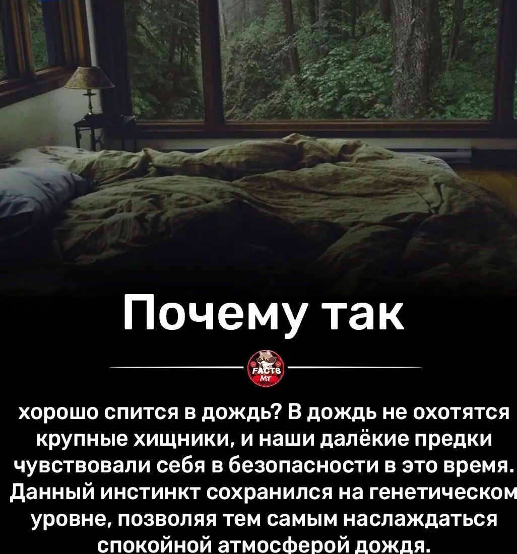 Почему так хорошо спится в дождь В дождь не охотятся крупные хищники и наши далёкие предки ЧУВСТЕПЕЗПИ себя В БЕЗОПЗСНОБТИ Е ЭТО время данный ИНВТИНКТ СОХРЗНИПСП На ГЕНЕТИЧЕСКОМ уровне позволяя тем самым наслаждаться спокойной атмосферой дождя