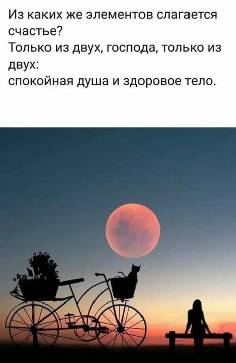 ИЗ каких же элементов слагается счастье Только из двух господа только из двух спокойная душа и здоровое тело