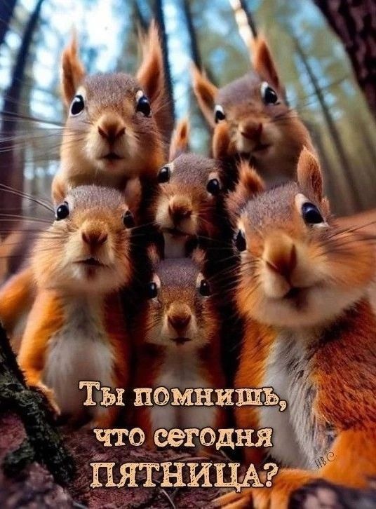 Ты п9мнишъ т чтр сегодня
