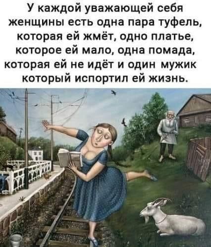 У каждой уважающей себя женщины есть одна пара туфель которая ей жмёт одно платье которое ей мало одна помада которая ей не идёт и один мужик который испортил ей жизнь _ _