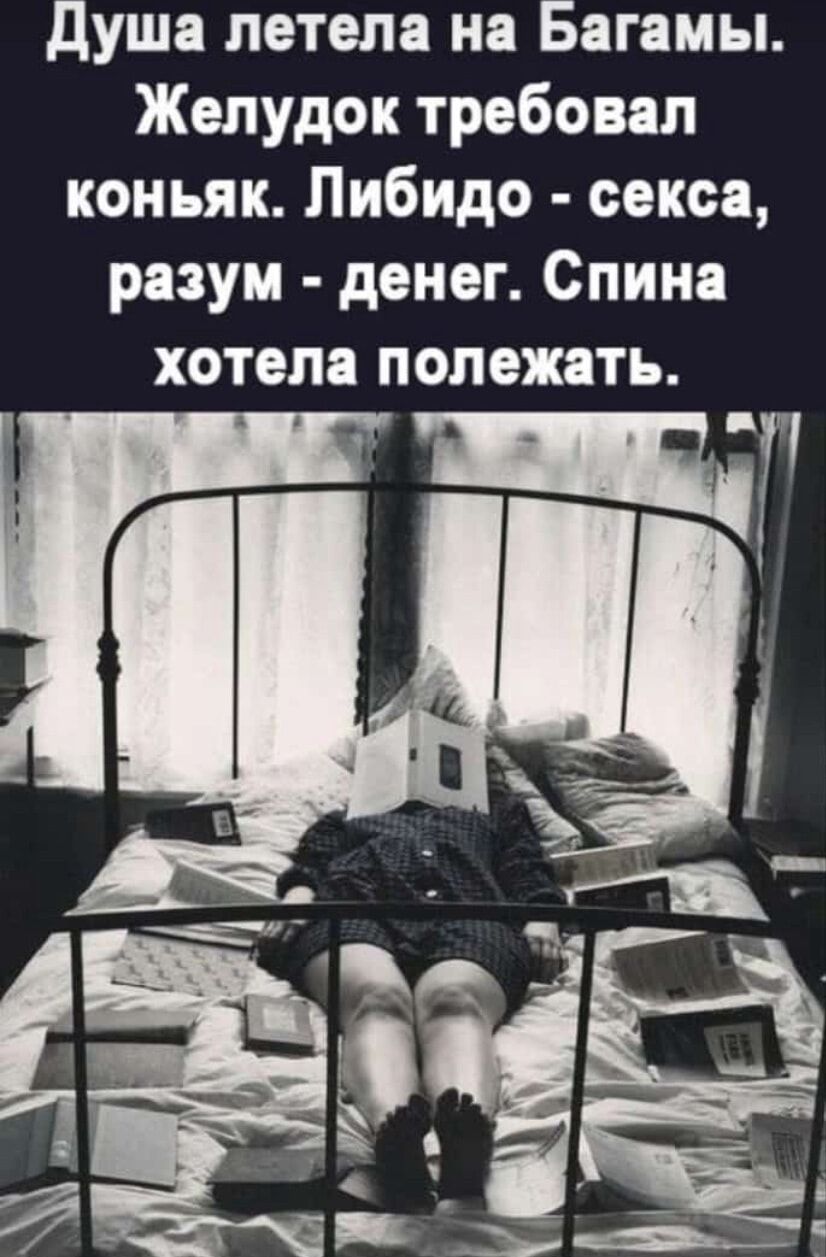 душа летела на Багамы Желудок требовал коньяк Либидо секса разум денег Спина хотела полежать