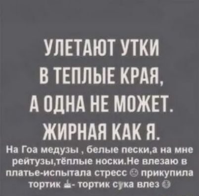 УЛЕТАЮТ УТКИ В ТЕПЛЫЕ КРАЯ А ОДНА НЕ МПЖЕТ ЖИРНАЯ КАК Я На Гоп медузы белые пески и ине ретузылшпые носки шлю в плпъе испыим стресс 63 прикупили тортик ъ торт суп влез