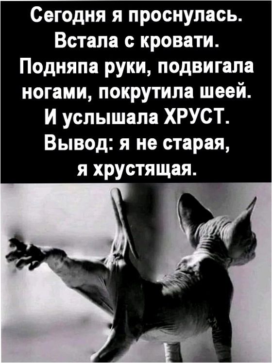 Сегодня я проснулась Встала с кровати Подняпа руки подвигала ногами покрутипа шеей И услышала ХРУСТ Вывод я не старая я хрустящая