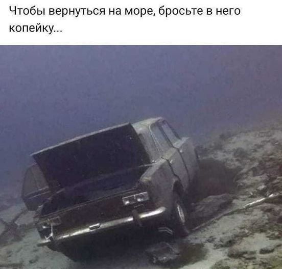 Чтобы вернуться на море бросьте в него копейку