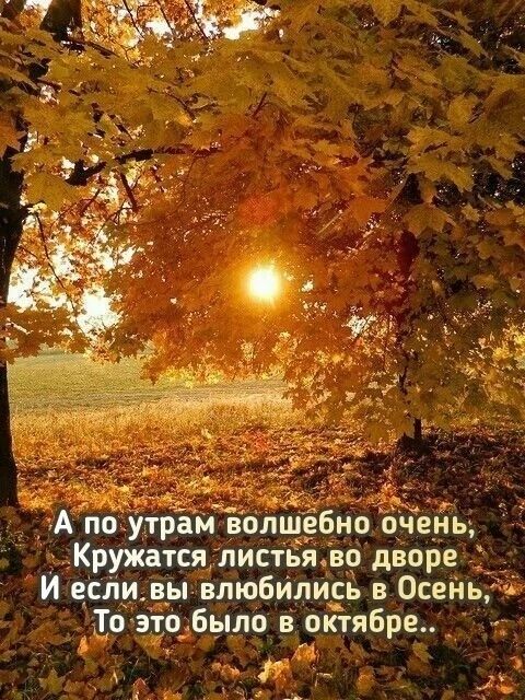 А по утрам волшебно очень Кружатся лист8я во дворе И еипи вы влюбились в Осень ч То это было в октябре _ _ Я А