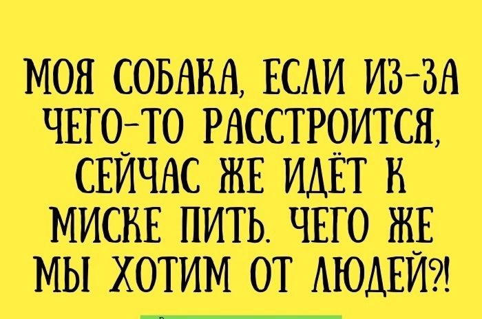 мон соьвнв ЕСАииззв ЧЕгодто РАсстроитса СЕИЧАС ЖЕ ИДЕТ к мискЕ пить ЧЕГО ж мы хотим от АЮАЕИ