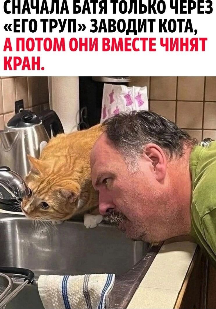 ЕГО ТРУП ЗАВОДИТ КОТА А ПОТОМ ОНИ ВМЕСТЕ ЧИНЯТ КРАН