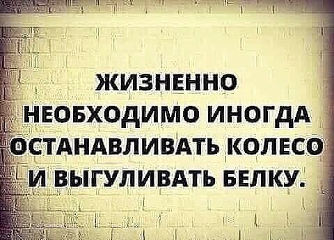 _ жизненно нювходимо иногдА стАНАвливАть колнсо __РЫГУЛИВАТЬ велку