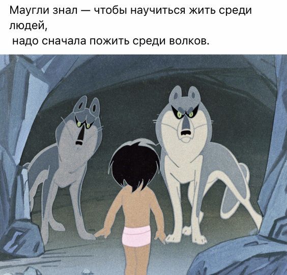 Маугли знал чтобы научиться жить среди людей надо сначала пожить среди волков