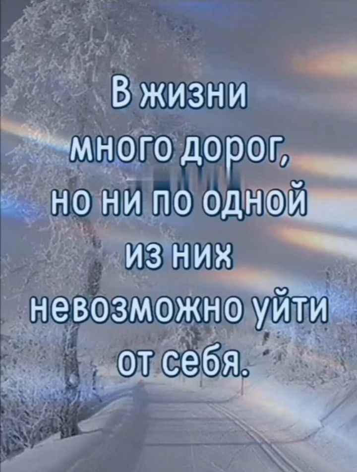 Вжизни Живого дороцг