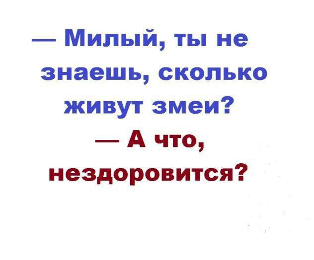 Милый ты не знаешь сколько живут змеи А что нездоровится