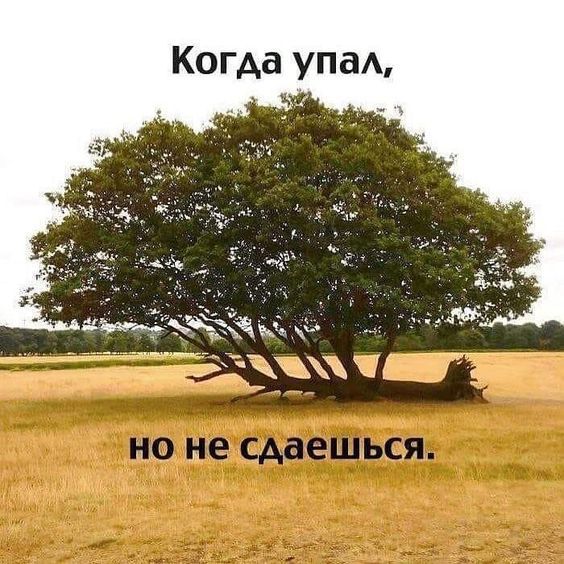 Когда упа