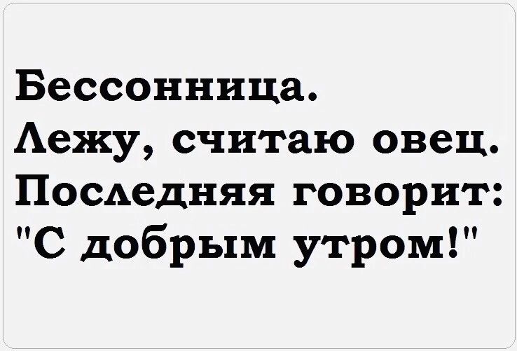 Бессонница Аежу считаю овец Посдедняя говорит С добрым утром