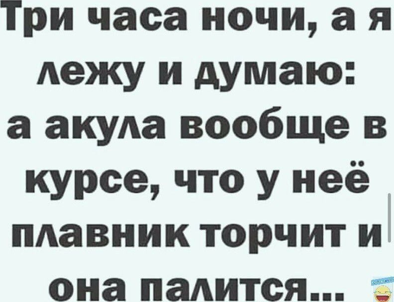 Три часа ночи а я лежу и думаю а акула вообще в курсе что у неё плавник торчит и она палится