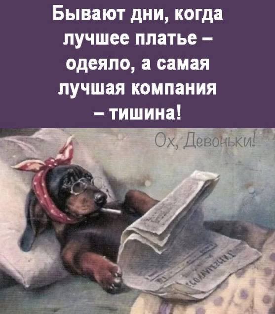 Бывают дни когда лучшее платье одеяло а самая лучшая компания тишина Ох Деебёёйи