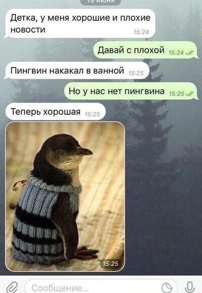 Детка у меня хорошие и плохие новости Давай с плохой Пингвин накакап в ванной