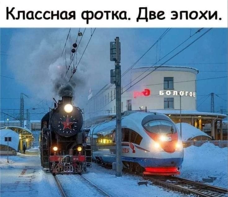 Классная фотка Две эпохи дог