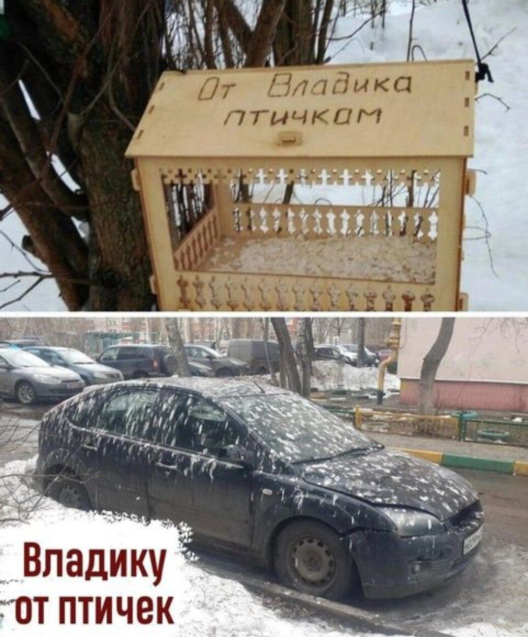 ЪПЦННИ Владику тп птичек