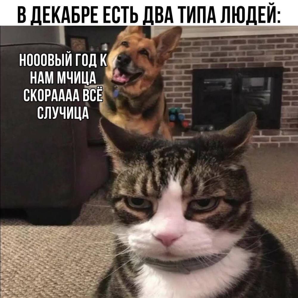 В ЛЕКАБРЕ ЕСТЬ ЛБА ТИПА __ЛЮДЕЙ наивный гплк ндм мчицд скпрддм ГВЁ влучицд