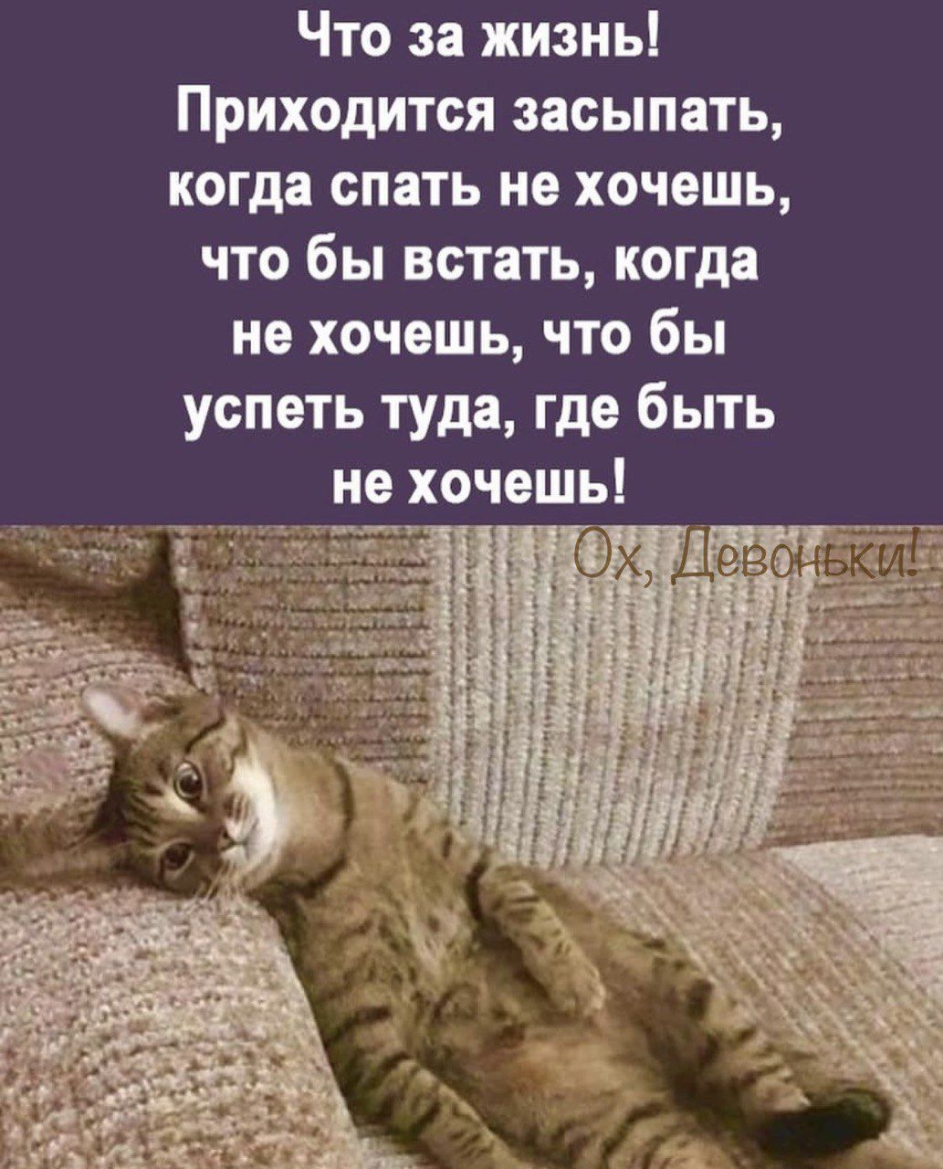 Что за жизнь Приходится засыпать когда спать на хочешь что бы встать когда не хочешь что бы успеть туда где быть не хочешь