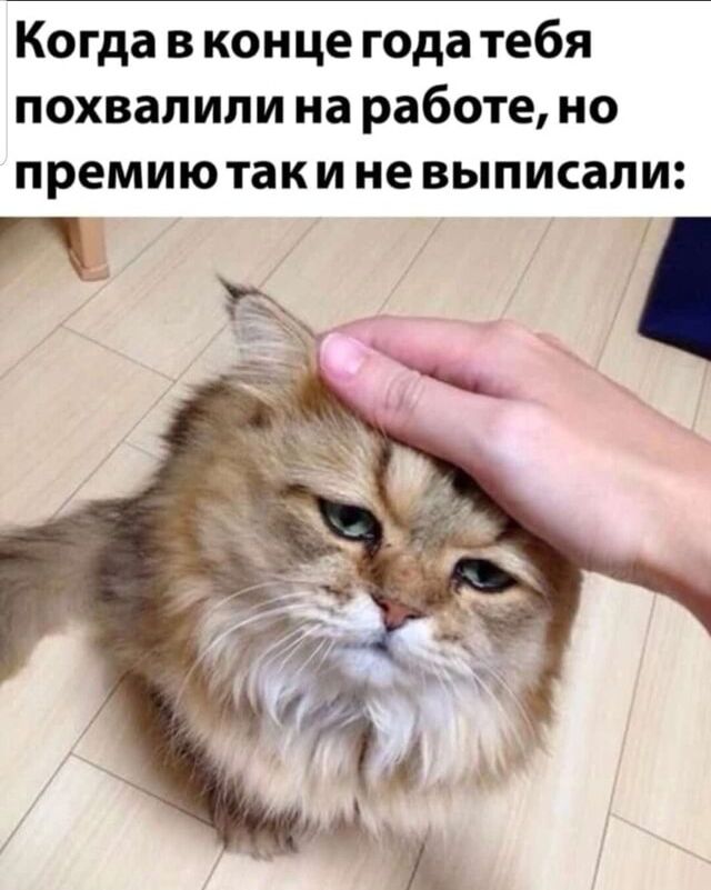Когда в конце года тебя похвалили на работе но премиютак и не выписали