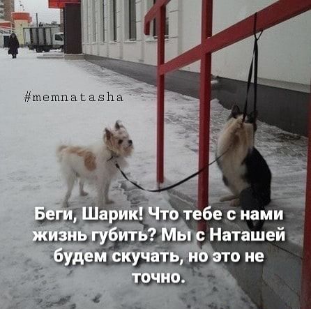_ д 1 щ Наташей алыми 11 оне щ Ч 4 о