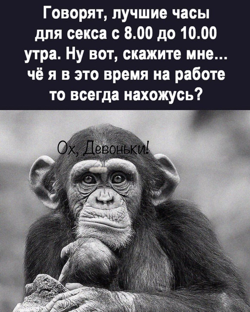 Говорят лучшие часы для секса с 800 до 1000 утра Ну вот скажите мне чё я в это время на работе то всегда нахожусь