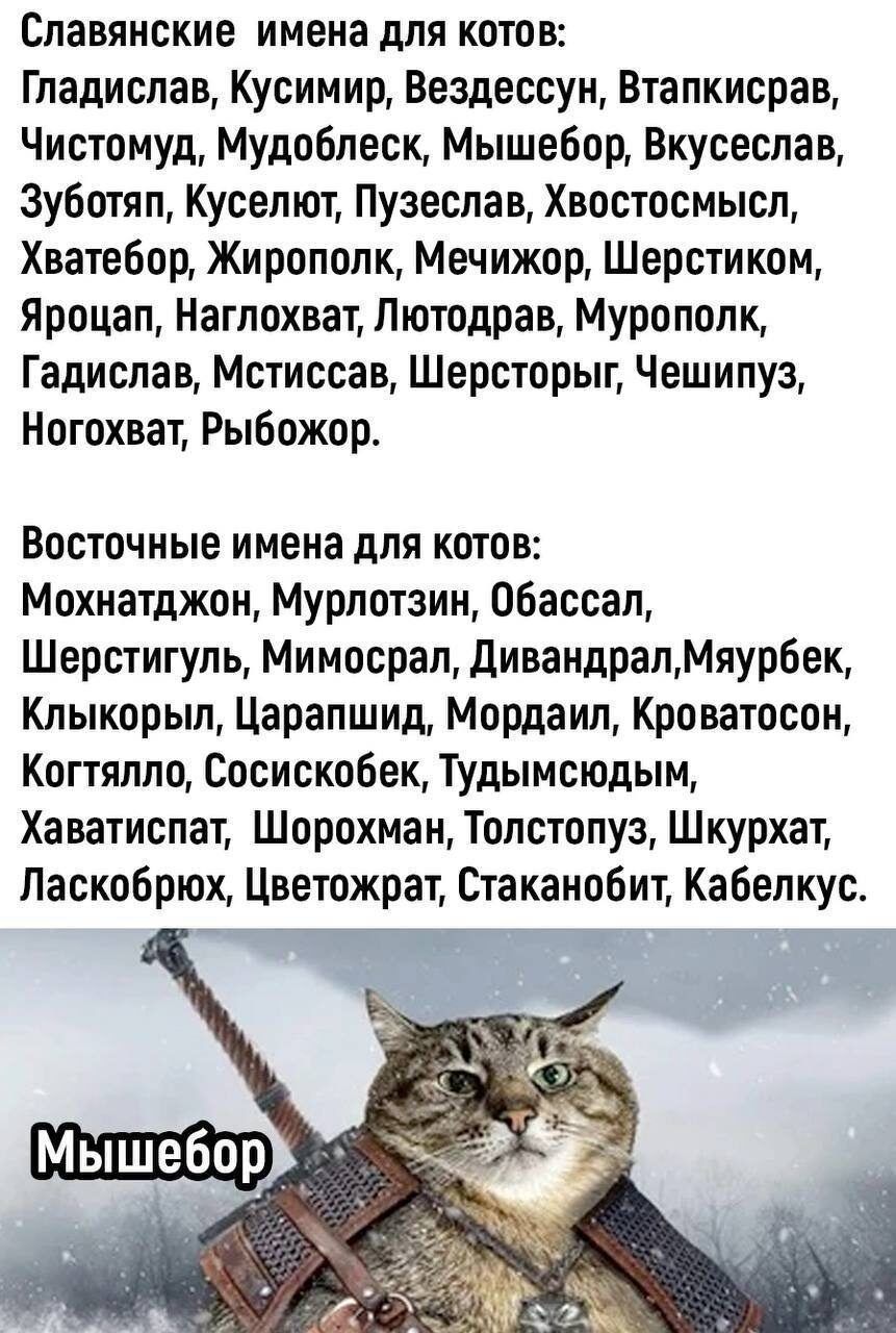 Славянские имена для котов Гладиспав Кусимир Вездессун Втапкисрав Чистомуд Мудобпеск Мышебод Вкусеслав Зуботяп Кусепют Пузеслав Хвостосмысп ХватеБор Жирополк Мечижор Шерстиком Яроцап Нагпохват Пютодрав Муропапк Гадиспав Мстиссав Шерсторыг Чешипуз Ногохват Рыбожор Восточные имена для котов Мохнатджои Мурпотзии ОБассап Шерстигуль Мимосрап дивандрапМпурбек Кпыкорып Царапшид Мордаид Краватосои Когтялп