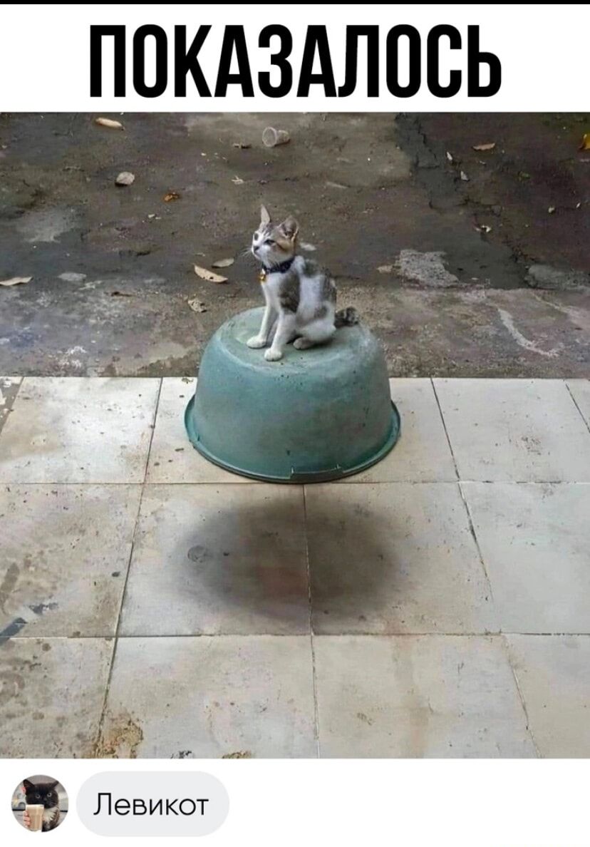 ПОКАЗАЛПВЬ
