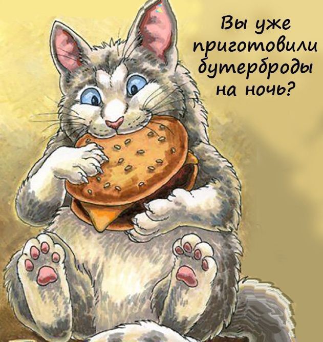Вы уже и игомобцди умерброды на ночь