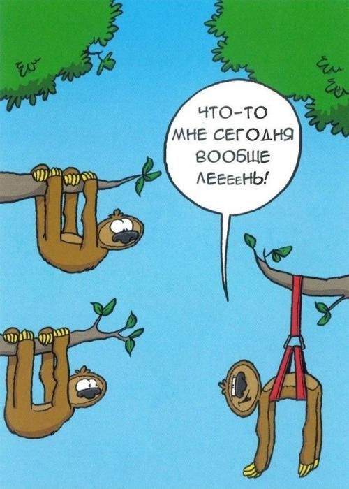 у С ВООБЩЕ АЕЕЕЕНЬ