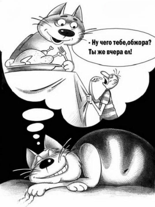 Ты же пер м а 7 чего бомжам
