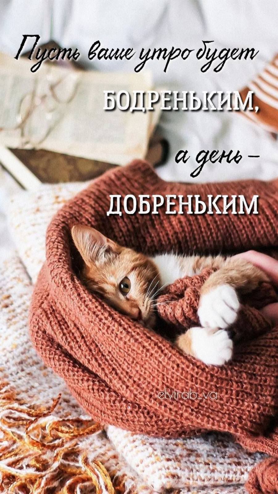 Да вод