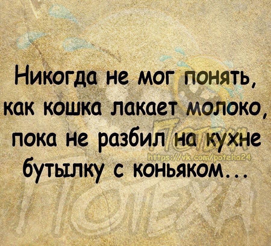 Ниоогд не мог понять как кошКс лакает молоко пока не разбит да бутылку с коньяк