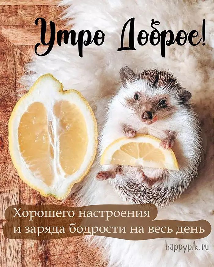 ЪарруріИп