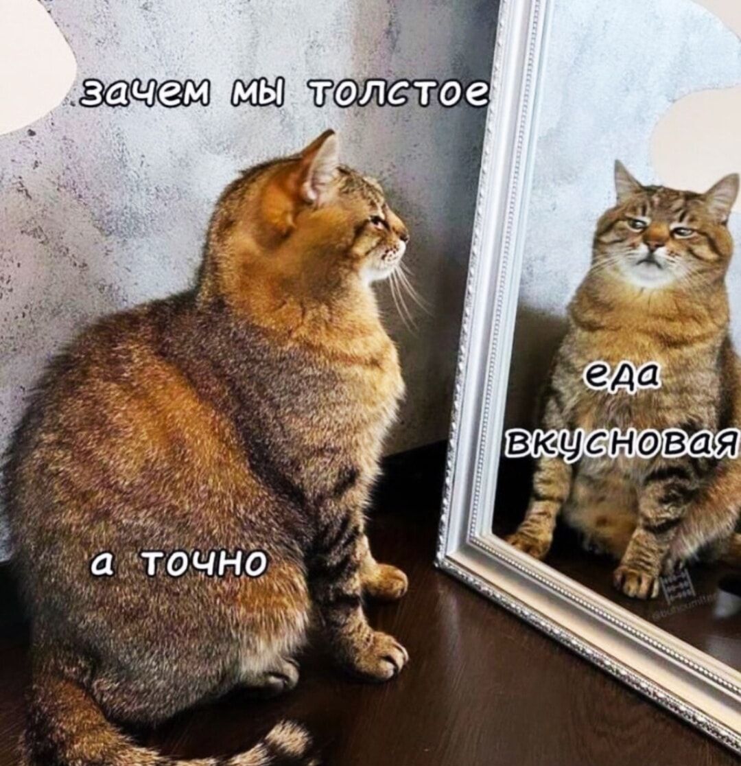 ичш толстое