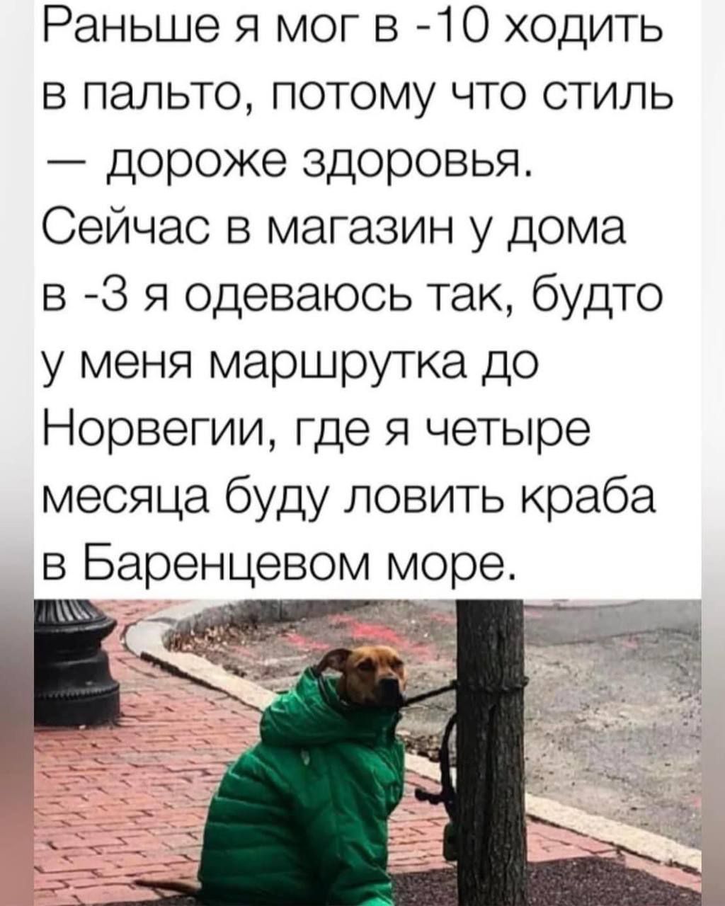 Раньше я мог в 10 ходить в пальто потому что стиль дороже здоровья Сейчас в магазин у дома в 3 я одеваюсь так будто у меня маршрутка до Норвегии где я четыре месяца буду ловить краба в Баренцевом море