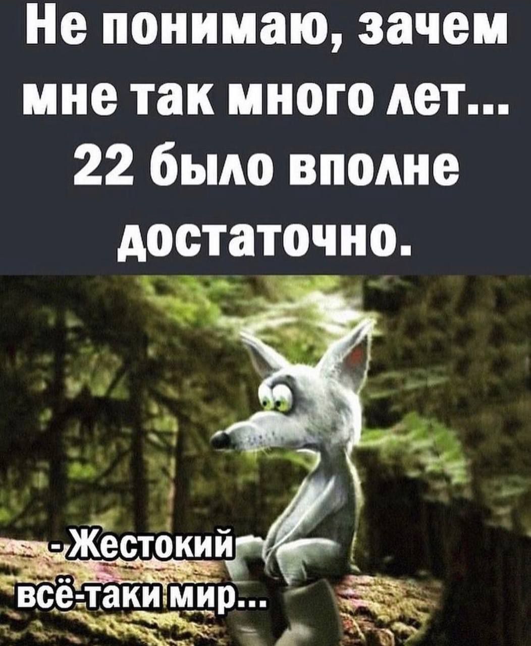 Не понимаю зачем мне так много лет 22 было вполне достаточно 9 з Жестбиийг Ё всёпакимцр ЁК а